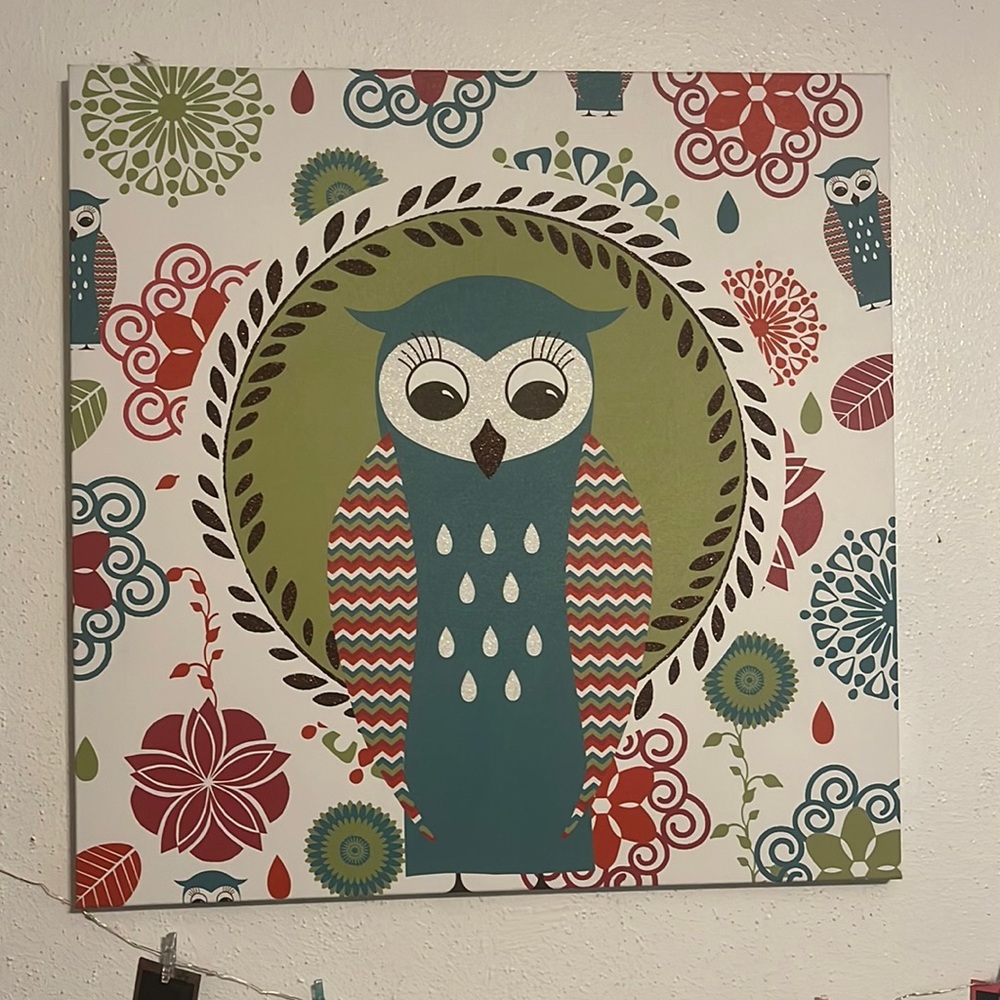 Owl picture from Kirklands